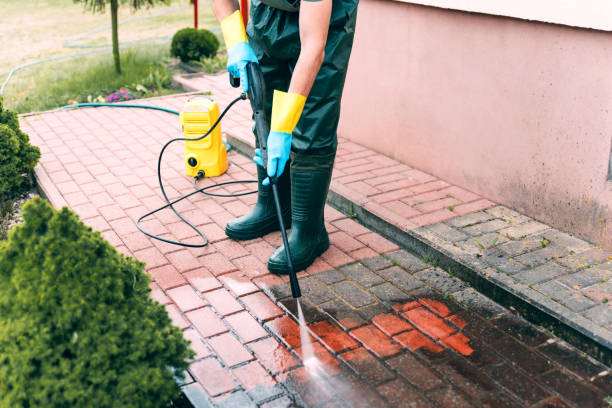 Best Building Exterior Washing  in Frankston, TX