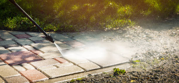 Best Soft Washing  in Frankston, TX